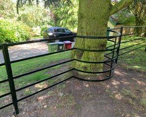 Steel Fence Been Made To Go Round A Tree